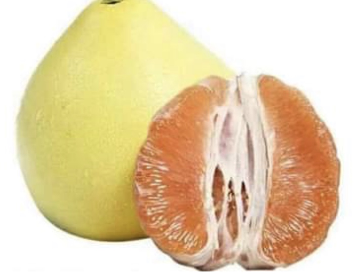 Citrus maxima ‘Thong Siam’ (grafted).