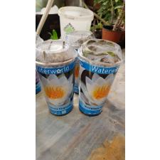 Nymphaea Mix Waterworld белый