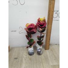 Codiaeum B-11 Rose